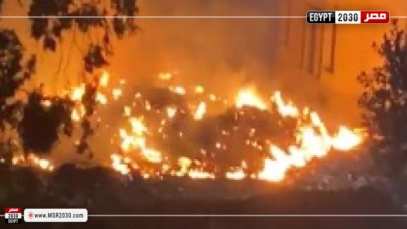 حريق أشجار بمحيط المتحف الزراعي بالدقي