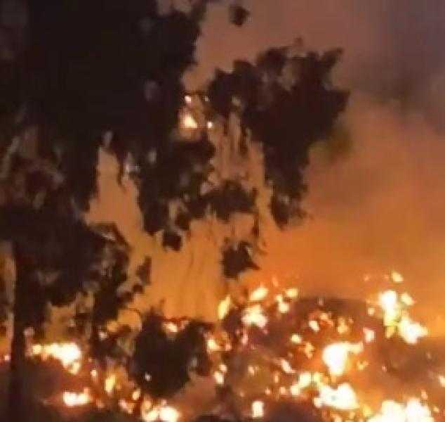 السيطرة على حريق أشجار بمحيط المتحف الزراعي بالدقي دون خسائر بشرية