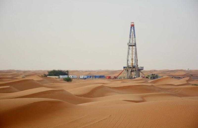 خبير: كشف بدر–15 خطوة إيجابية ولكننا بحاجة لمزيد من الاكتشافات لتعزيز احتياطي الغاز