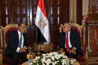 رئيس مجلس الشيوخ يستقبل وزير الخارجية