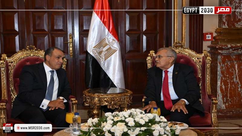 رئيس مجلس الشيوخ يستقبل وزير الخارجية