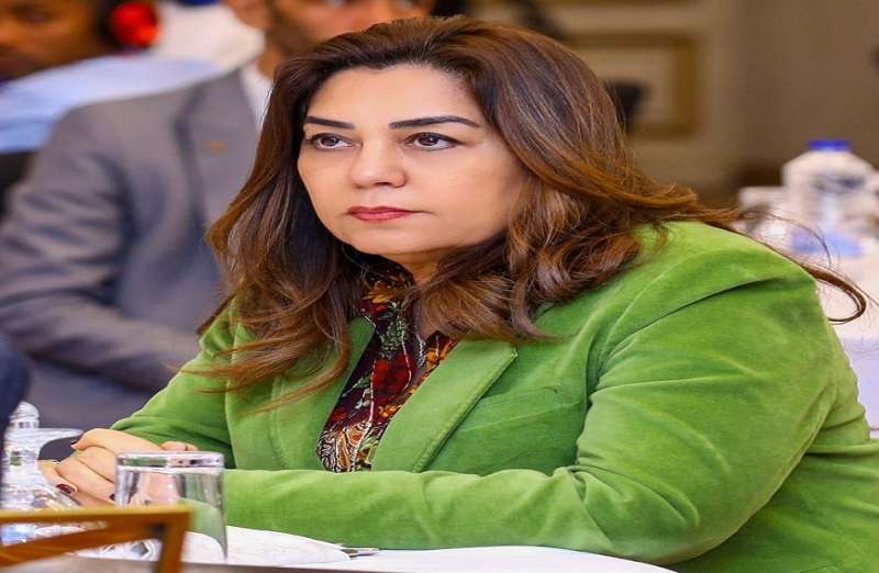 الدكتورة منال عوض وزيرة التنمية المحلية