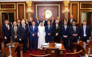 عبدالعاطي يستعرض مع لجنة العلاقات الخارجية بمجلس الشيوخ محددات السياسة الخارجية المصرية