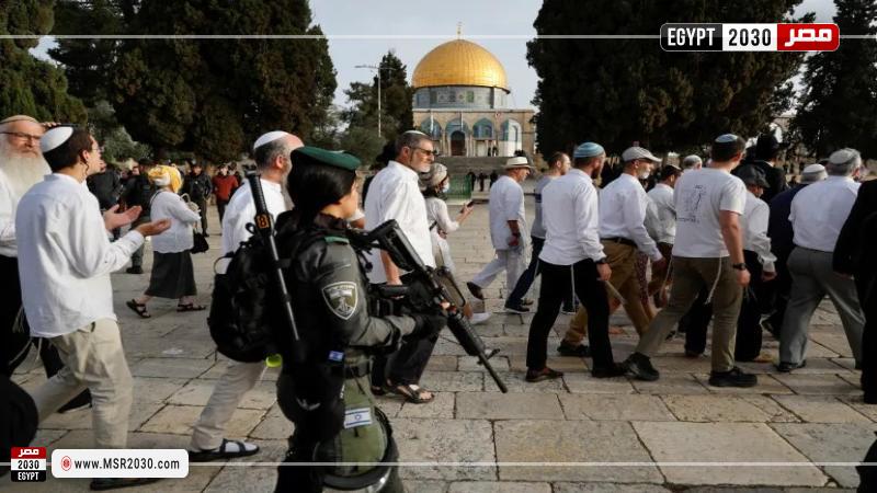 المستوطنون في حماية شرطة الاحتلال