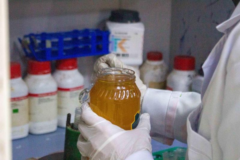 ”الزراعة” تنظم برنامجًا تدريبيًا متخصصًا للكشف عن غش عسل النحل