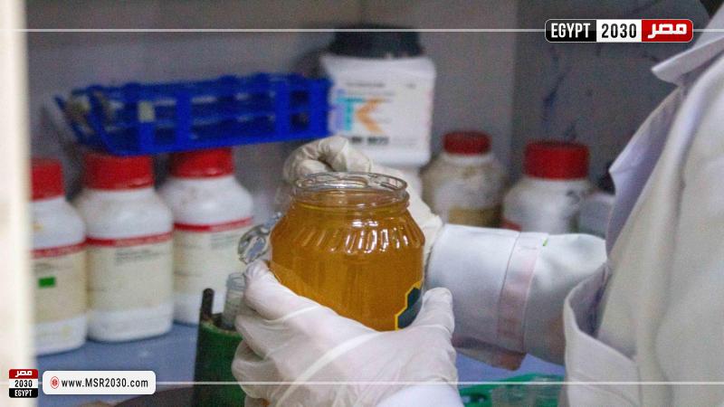 برنامجا تدريبيا متخصصا للكشف عن غش عسل النحل لعدد من الكيميائيين بمحافظة الغربية