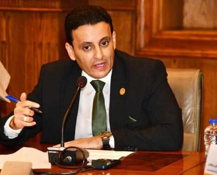 النائب أحمد سمير زكريا، عضو مجلس الشيوخ
