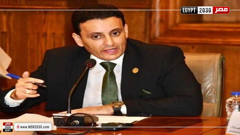 النائب أحمد سمير زكريا، عضو مجلس الشيوخ