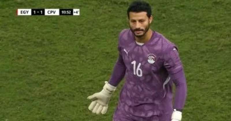 محمد الشناوي