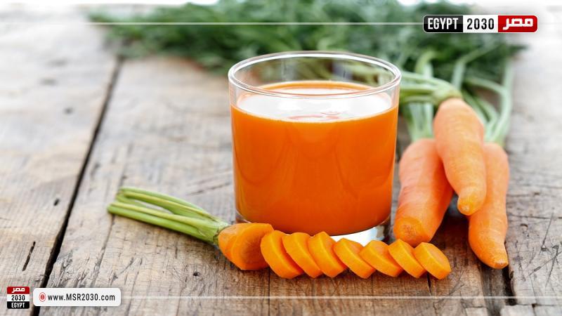 مصر 2030