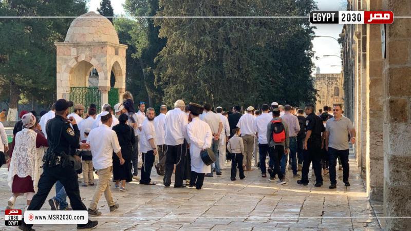 المستوطنون 