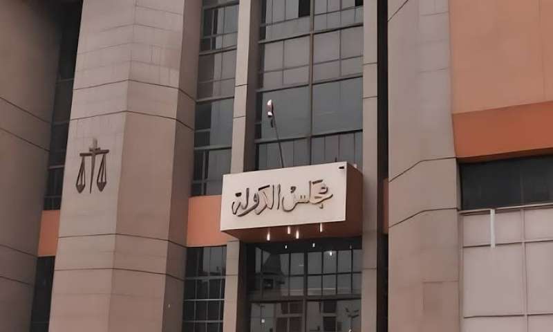 مجلس الدولة 