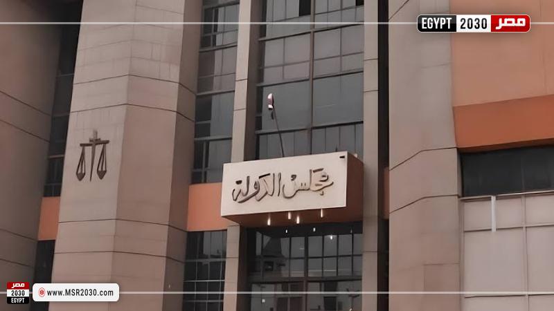 مجلس الدولة 