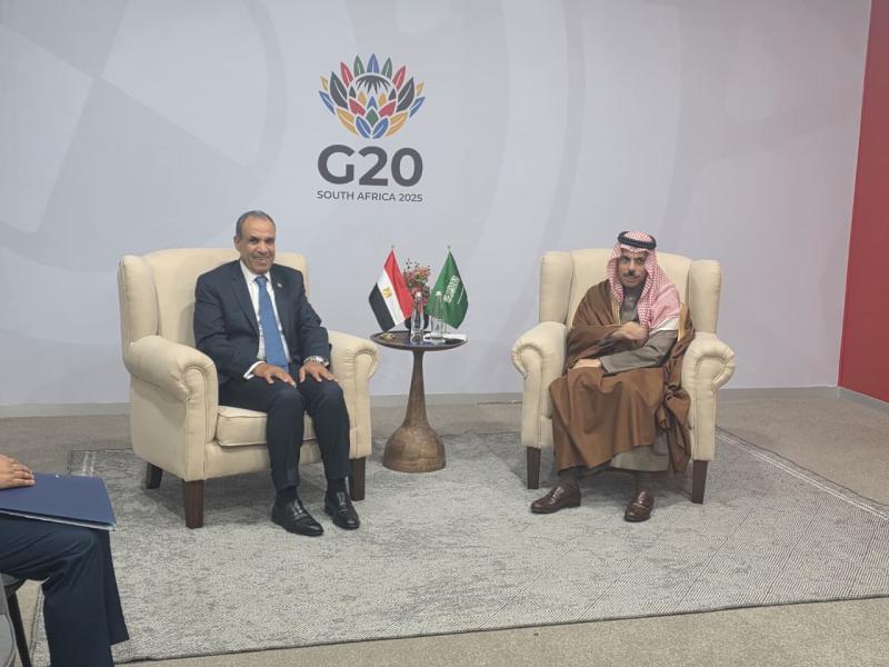 لقاء وزير الخارجية مع نظيره السعودي على هامش أعمال قمة مجموعة العشرين بجوهانسبرج