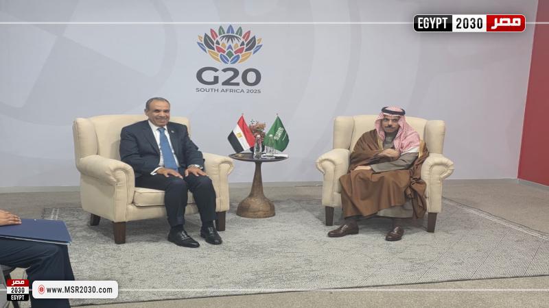 لقاء وزير الخارجية مع نظيره السعودي على هامش أعمال قمة مجموعة العشرين بجوهانسبرج