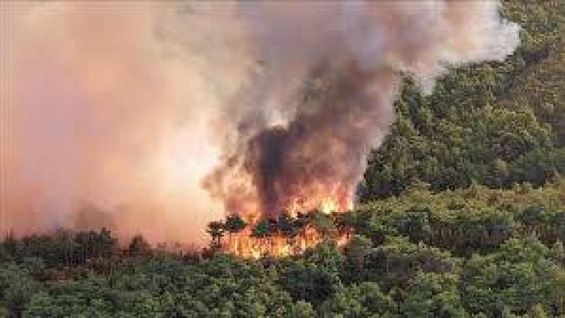 إيران تكافح حريقا في غابات مدرجة على قائمة اليونسكو