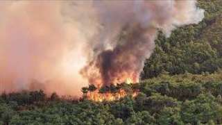 إيران تكافح حريقا في غابات مدرجة على قائمة اليونسكو