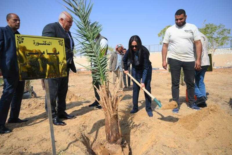 وزيرة التضامن الاجتماعي تغرس نخلة في حديقة 30 يونيو بالوادي الجديد