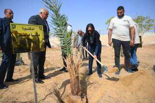 وزيرة التضامن الاجتماعي تغرس نخلة في حديقة 30 يونيو بالوادي الجديد