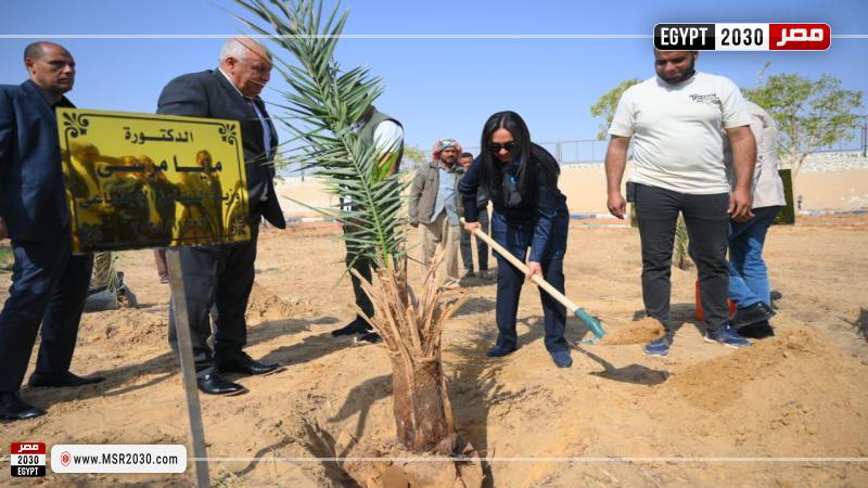 وزيرة التضامن