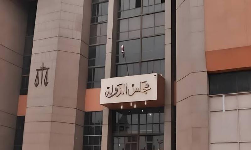 مجلس الدولة 