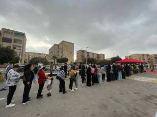 للمغتربين.. كيف تصوت بعيدًا عن محل إقامتك في انتخابات النواب؟