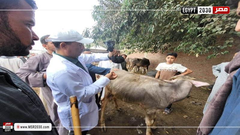 المبادرات والقوافل التوعوية لتعزيز تنمية الثروة الحيوانية ورفع كفاءتها الإنتاجية