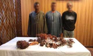 الأمن يكشف ملابسات فيديو سرقة كابلات كهربائية بأكتوبر