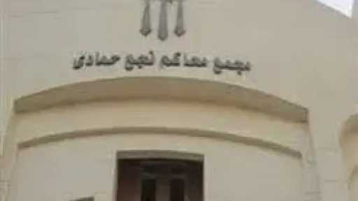 إحالة أوراق عاملين للمفتي في قضية قتل بقصد السرقة بنجع حمادي