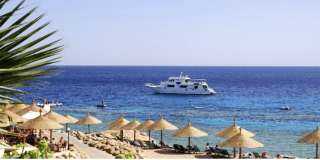 مصر تدخل قائمة أفضل 25 دولة في الأداء السياحي بعد قفزة 6 مراكز