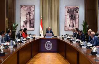 رئيس الوزراء يتابع خطط التطوير والتشجير بالقاهرة الكبرى