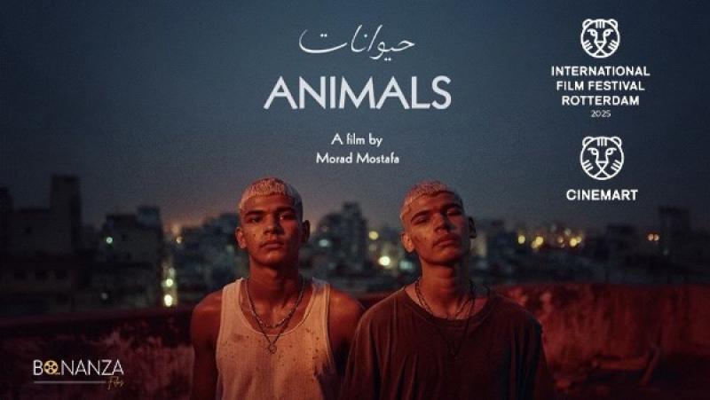 فيلم حيوانات