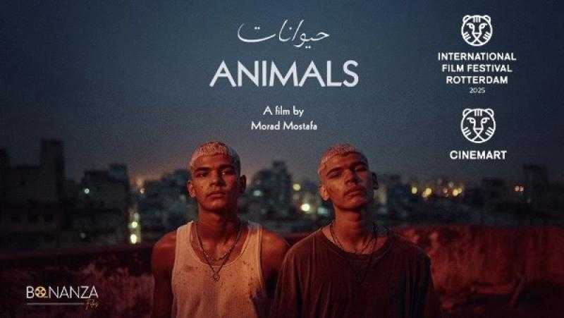 مشروع الفيلم ”حيوانات” للمخرج مراد مصطفى في مهرجان روتردام السينمائي