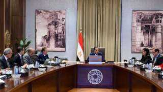 رئيس الوزراء يُتابع الموقف التنفيذي لمشروعات الطاقة الجديدة والمتجددة