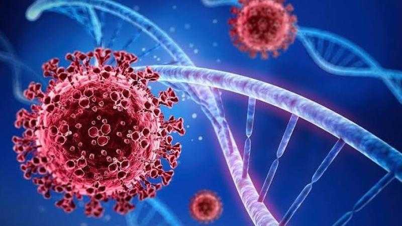 حمي الماربورج.. الصحة توضح إجراءات السفر من وإلى الدول الموبوءة