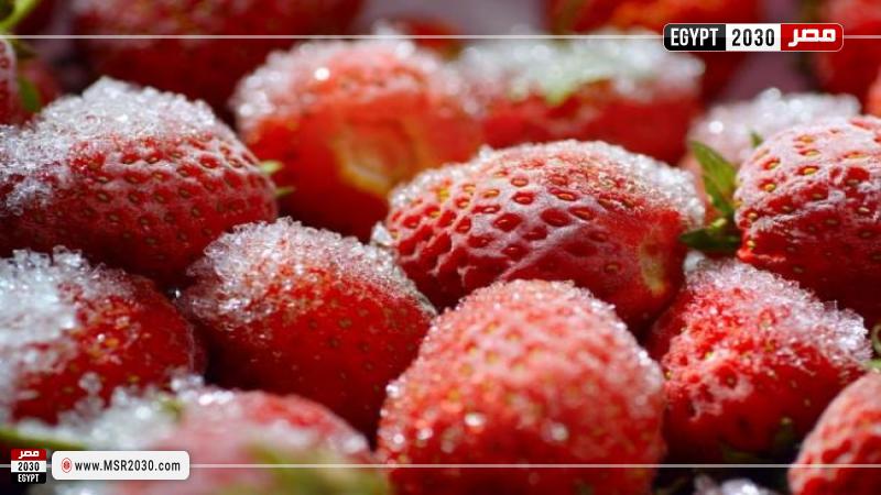 مصر 2030