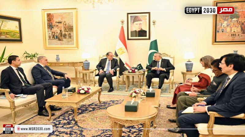 مشاورات بين وزير الخارجية ونظيره الباكستاني