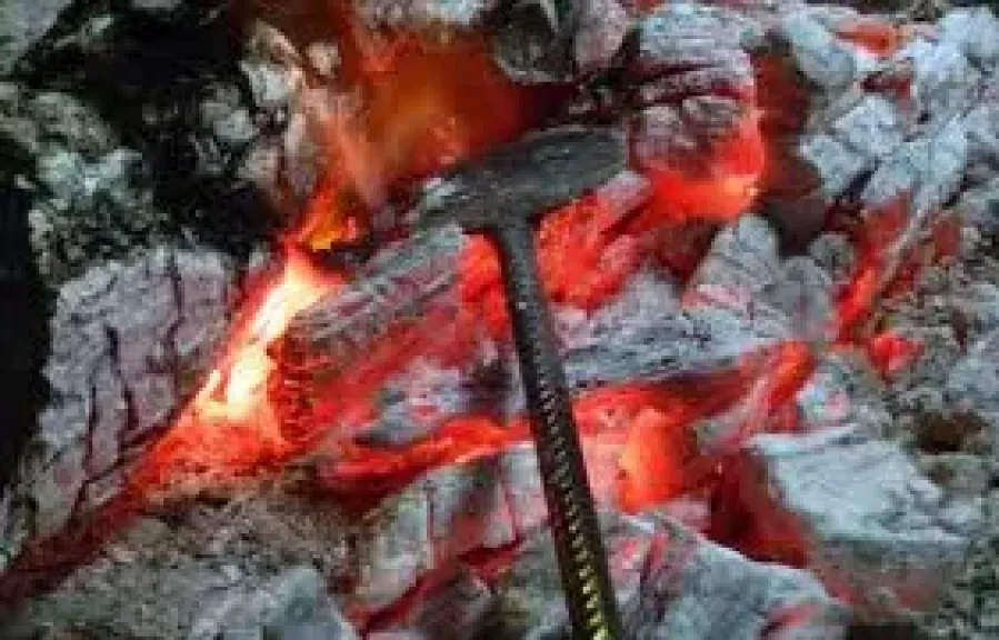 البِشْعَة