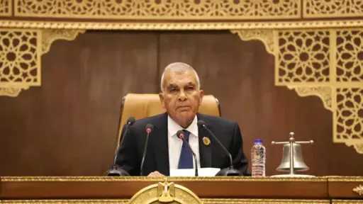 رئيس مجلس الدولة يهنئ رئيس مجلس الشيوخ بمناسبة توليه المنصب