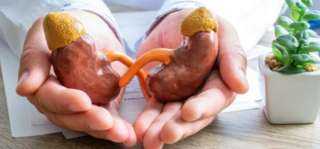 أسباب الإصابة بالفشل الكلوي.. تفاصيل