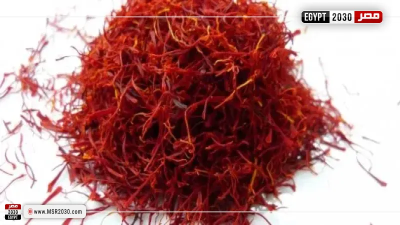 الزعفران 