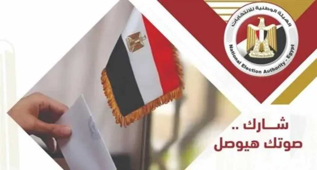 عضو القومي لحقوق الإنسان: المخالفات الممنهجة اختفت في انتخابات الدوائر الملغاة