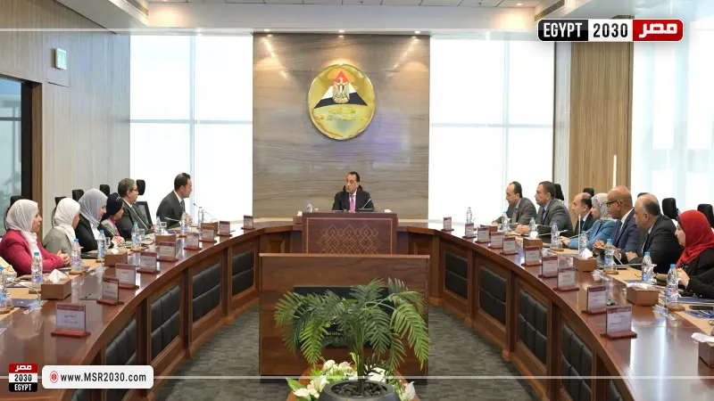 جانب من لقاء رئيس الوزراء