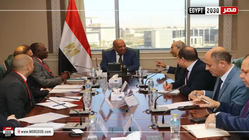 وزير الكهرباء خلال اللقاء