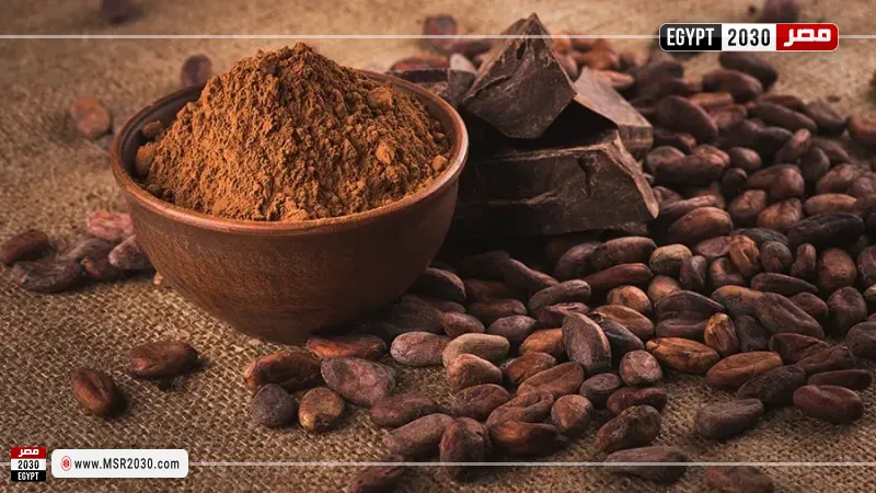 مصر 2030