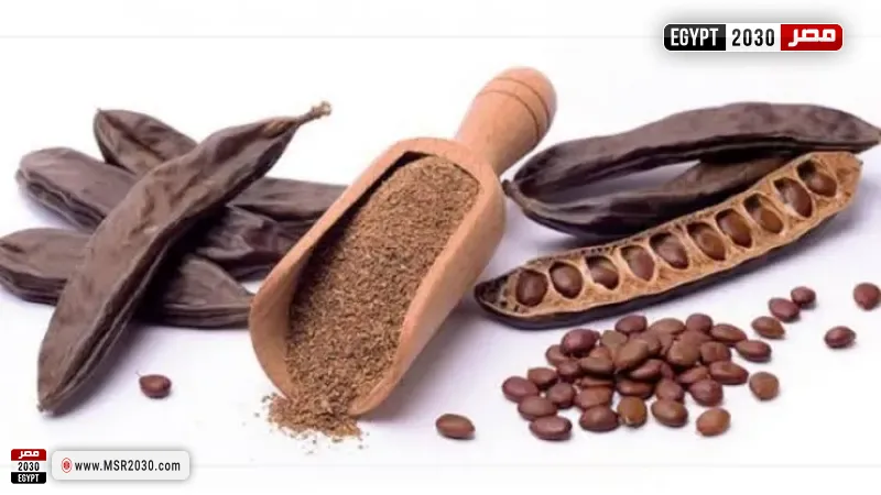 الكوليسترول 