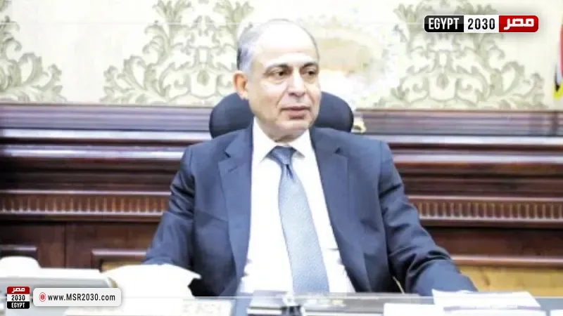 محافظ المنيا