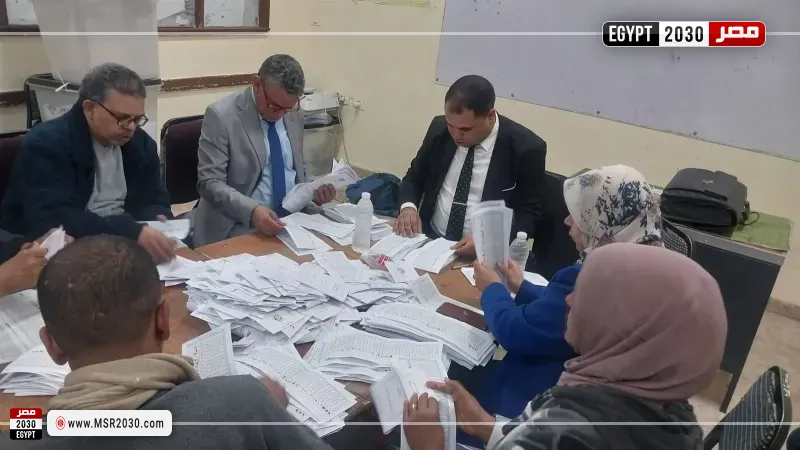 الانتخابات في قنا 