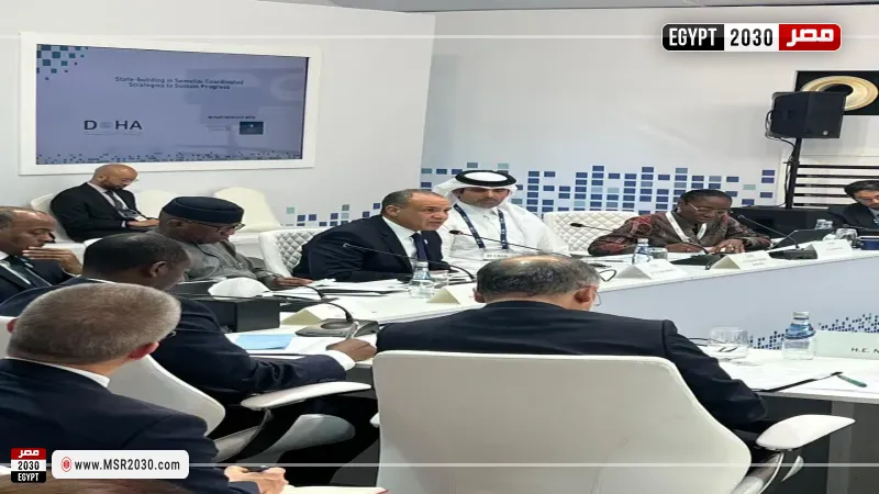 جانب من مشاركة وزير الخارجية