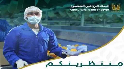 البنك الزراعي المصري يشارك في معرض Food Africa... البنك الزراعي المصري يشارك في معرض Food Africa 2025